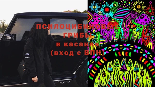 гашик Дмитров