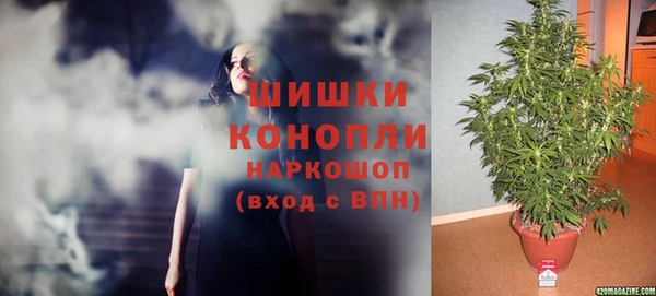 мдпв Дмитровск