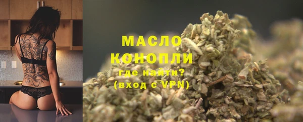 МДПВ Дмитриев