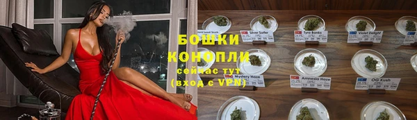 мдпв Дмитровск