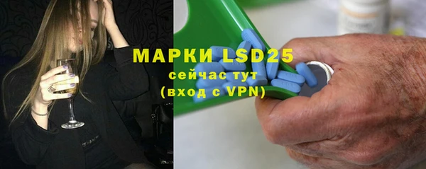 гашик Дмитров