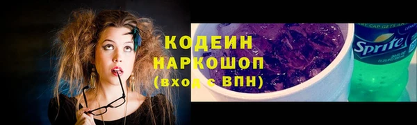 гашик Дмитров