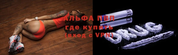 МДПВ Дмитриев