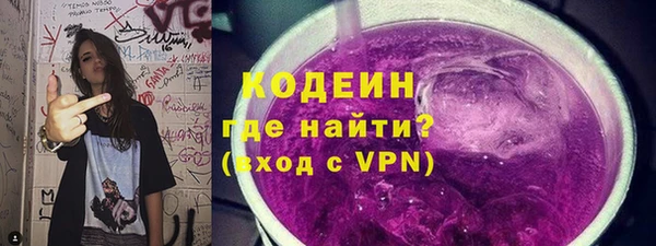 МДПВ Дмитриев
