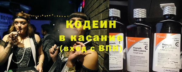 гашик Дмитров