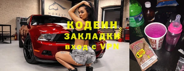 гашик Дмитров