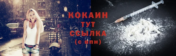бошки Ельня