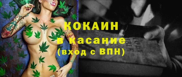МДПВ Дмитриев