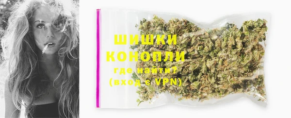 гашик Дмитров